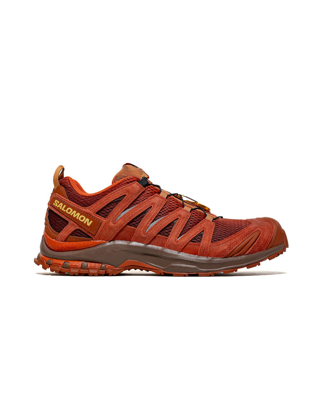 Salomon XA PRO 3D Red Ashes Pecan Brown/Chilli Hover Image