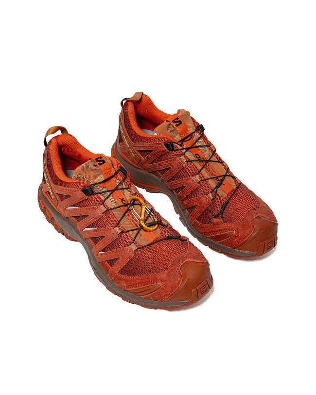 Salomon XA PRO 3D Red Ashes Pecan Brown/Chilli Main Image