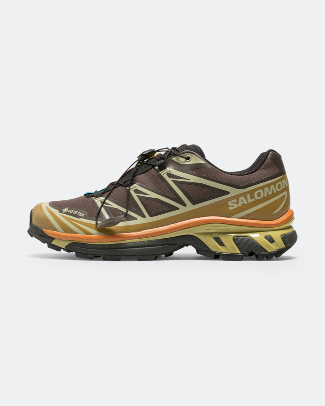 XT-6 GORE-TEX - Delicioso/Tea-Plantation Hover Image