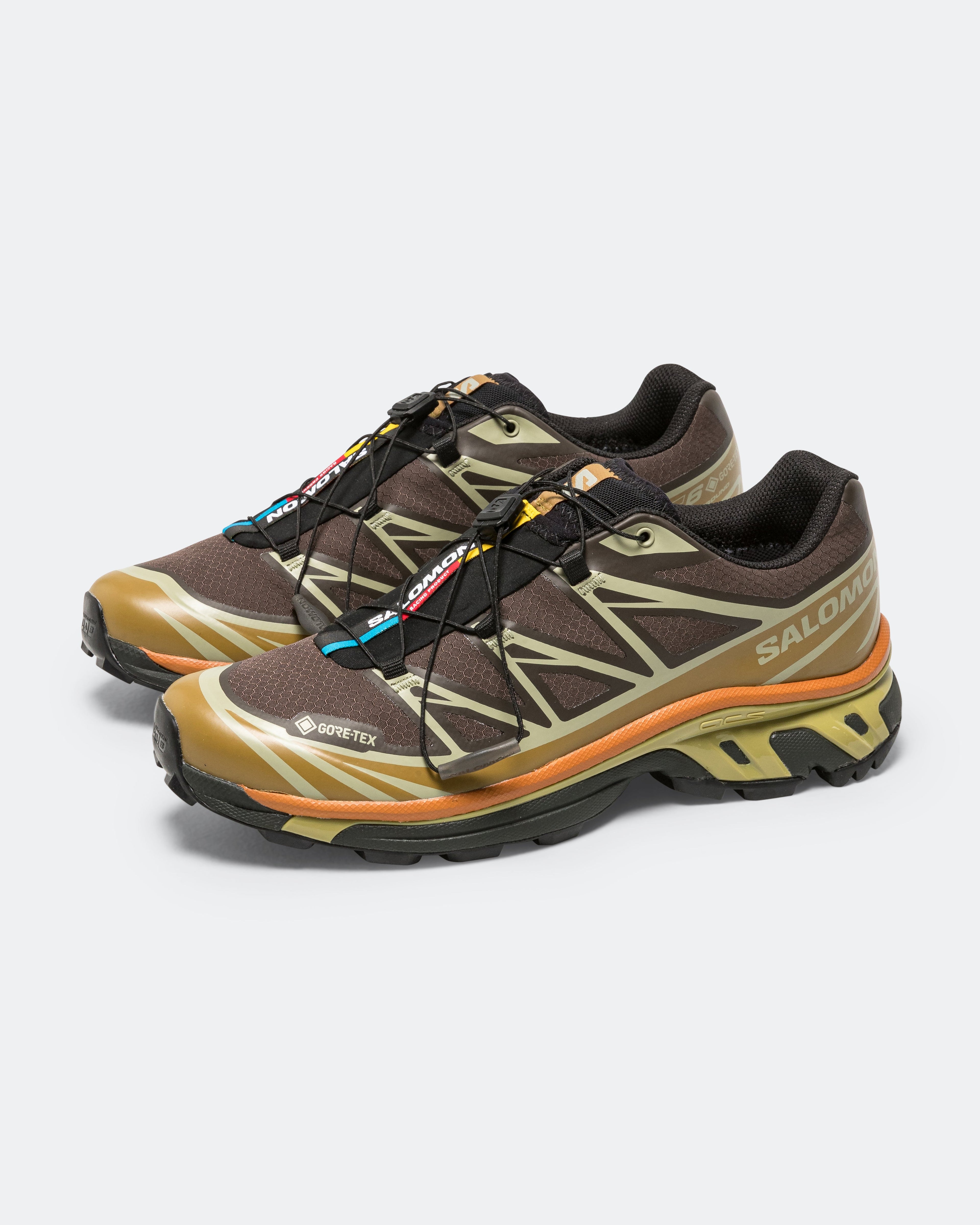 XT-6 GORE-TEX - Delicioso/Tea-Plantation