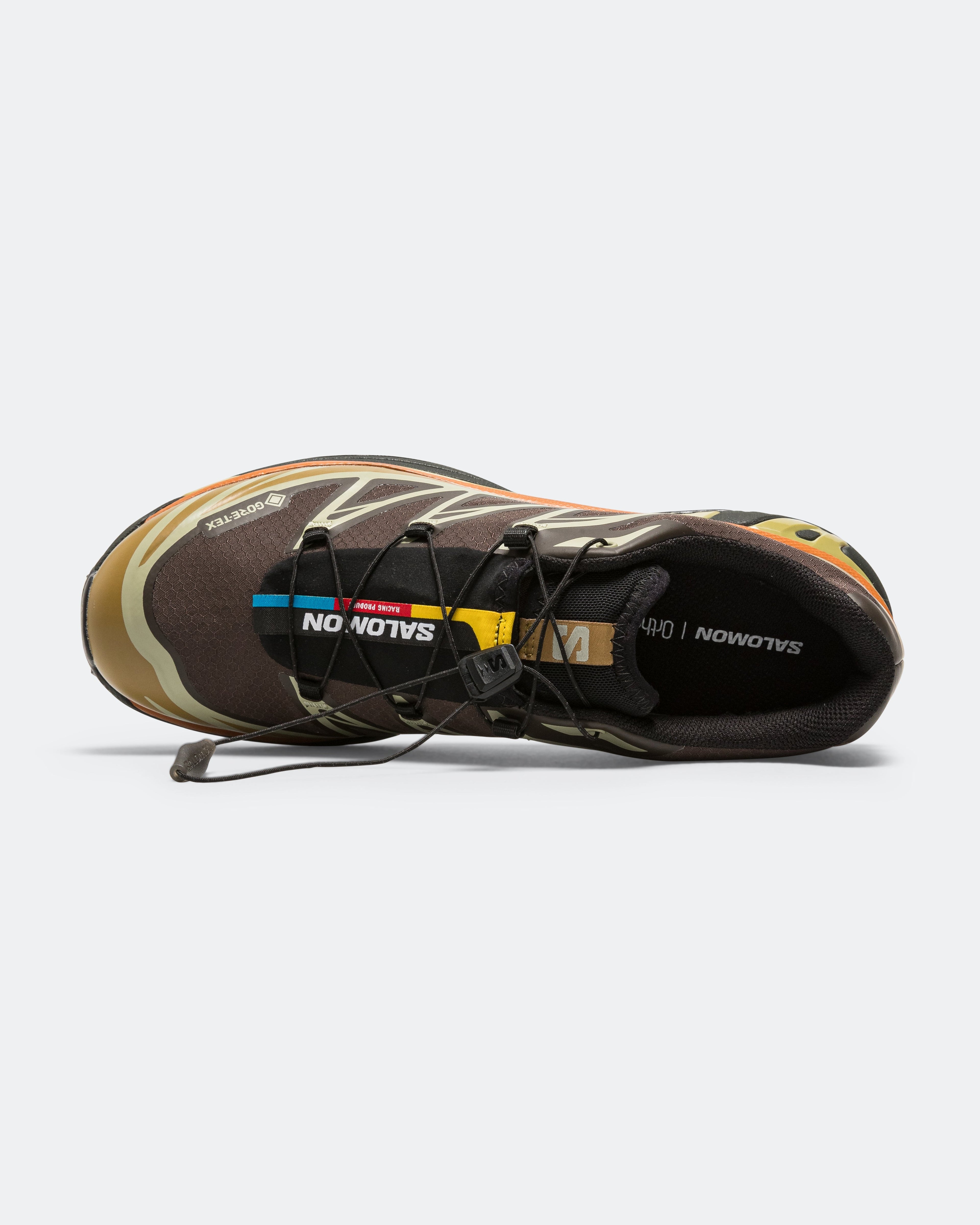 XT-6 GORE-TEX - Delicioso/Tea-Plantation