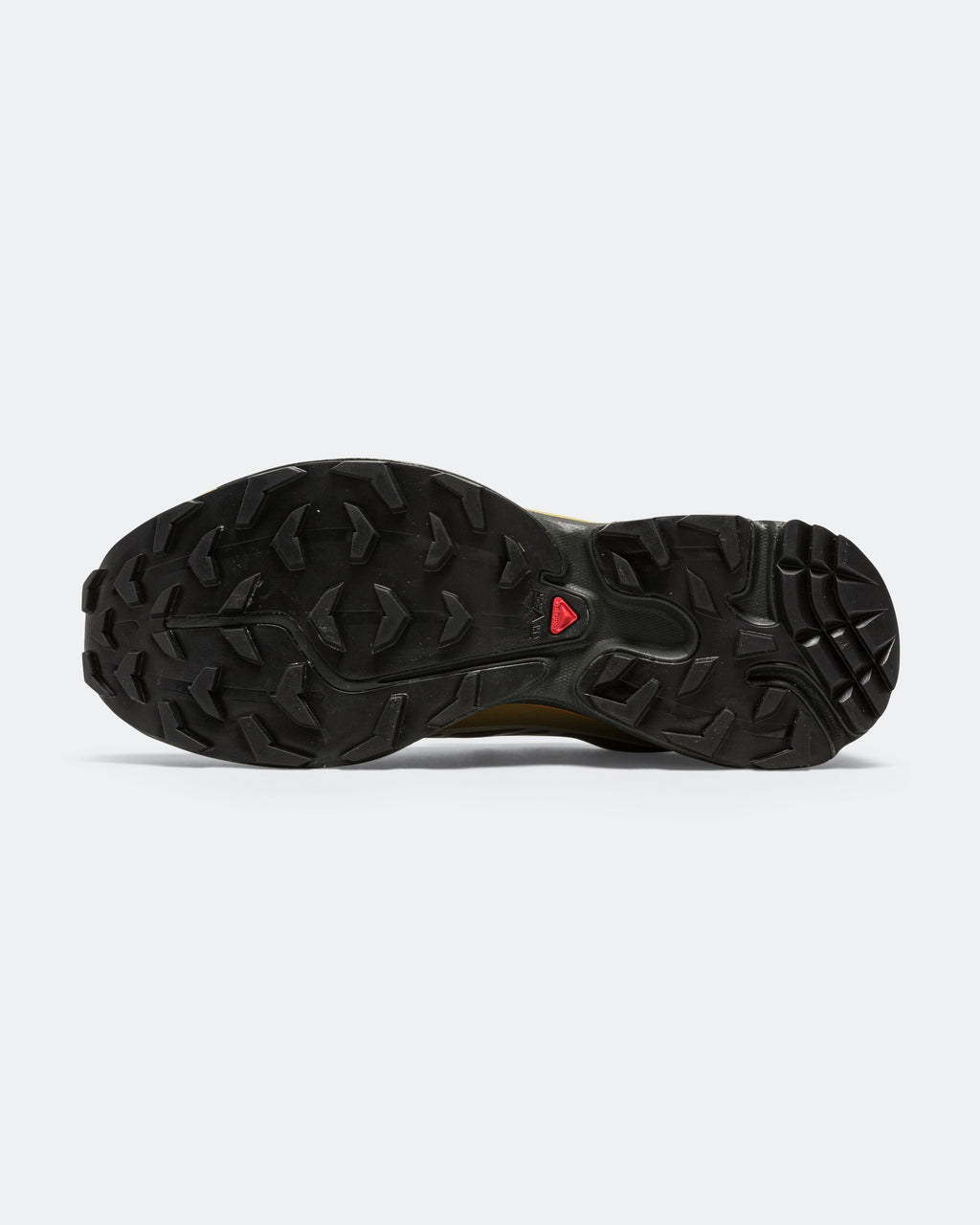 XT-6 GORE-TEX - Delicioso/Tea-Plantation