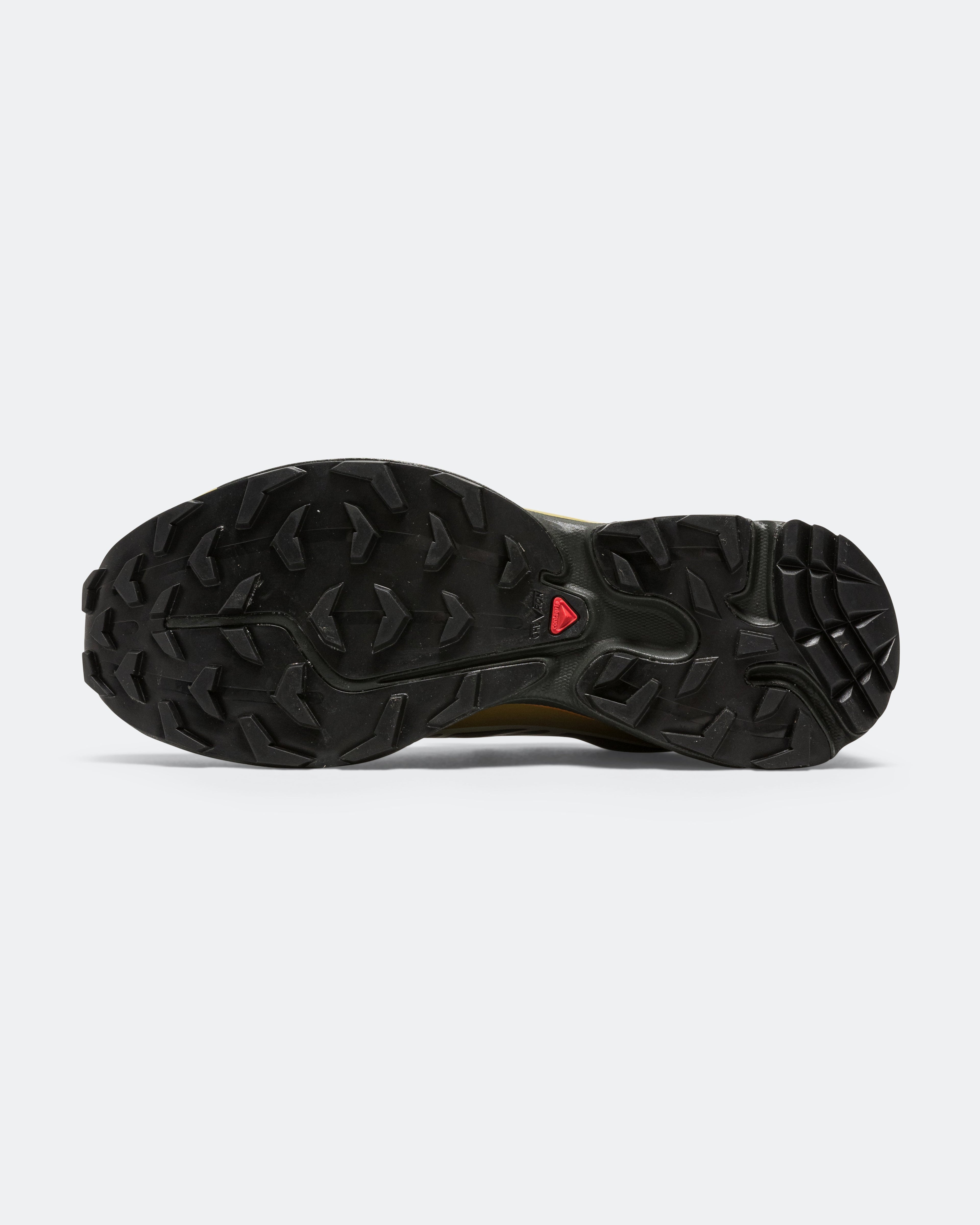 XT-6 GORE-TEX - Delicioso/Tea-Plantation