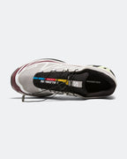 XT-6 GORE-TEX - Paloma/Maroon Banner-Butterfly