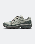 XT-6 GORE-TEX - Wrought Iron/Urban Chic-Sedona Sage