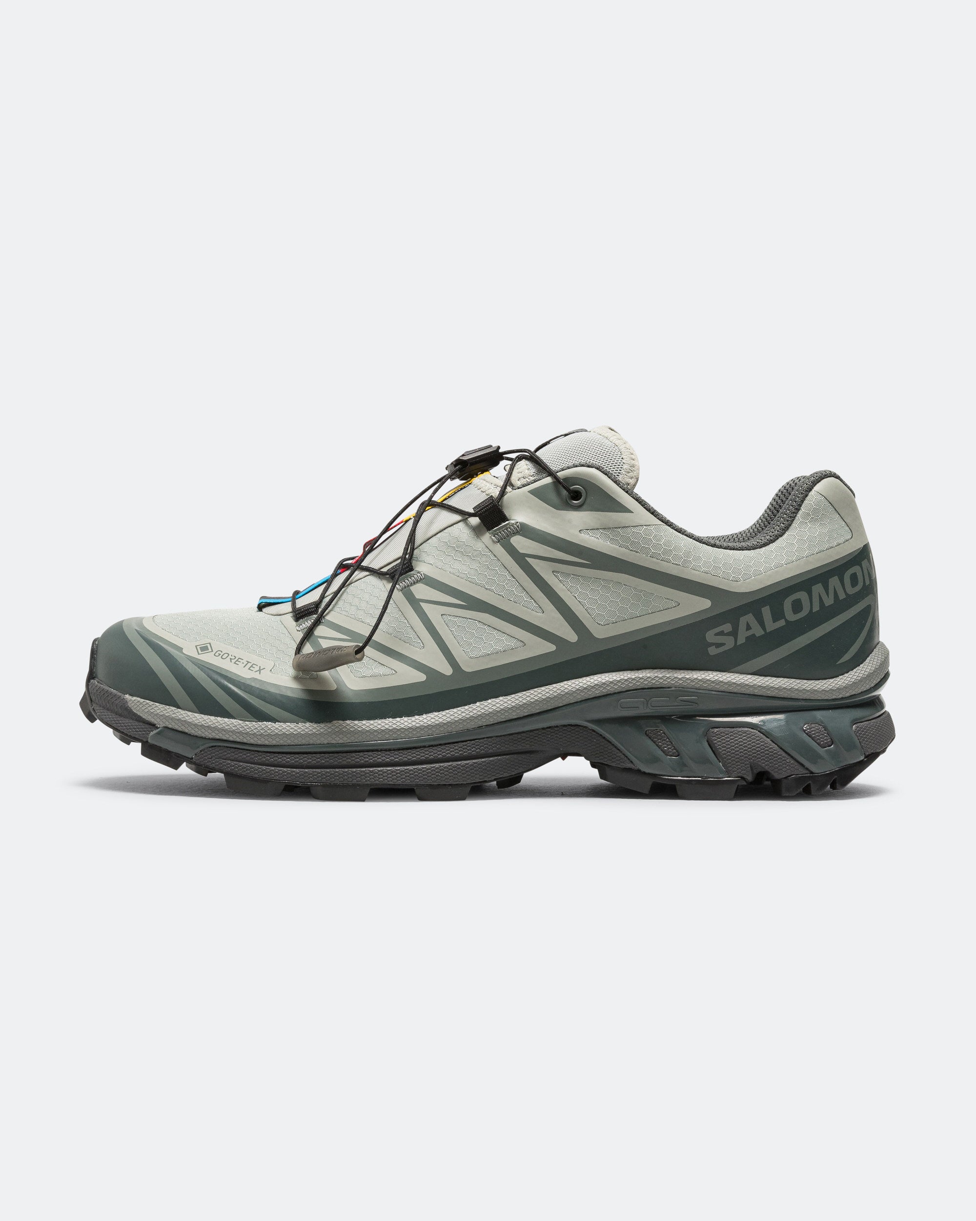XT-6 GORE-TEX - Wrought Iron/Urban Chic-Sedona Sage