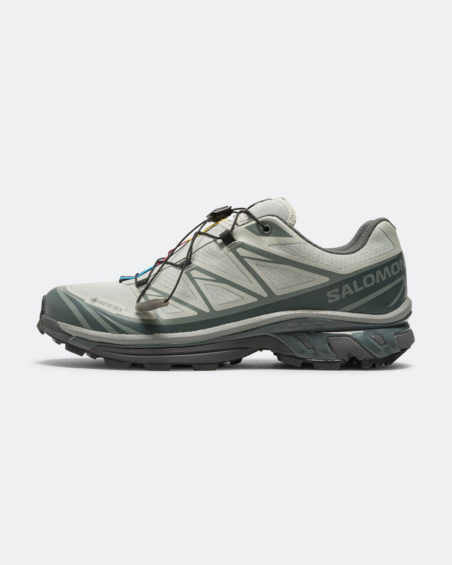 XT-6 GORE-TEX - Wrought Iron/Urban Chic-Sedona Sage Hover Image